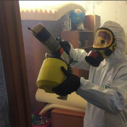 Уничтожение клопов в квартире. Новокосино